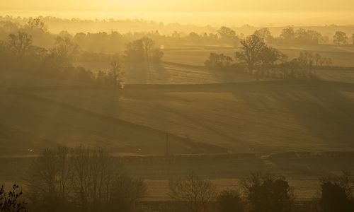 Scenic view of field against sky during sunrise sunset