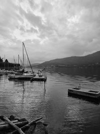 Sailboats moored in harbor