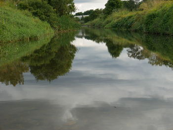 Reflection of trees in lake against sky