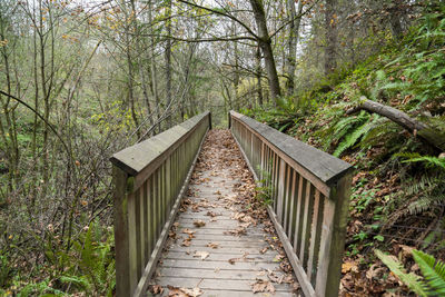 Footbridge amidst trees in forest