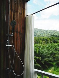 Close-up of hanging from window