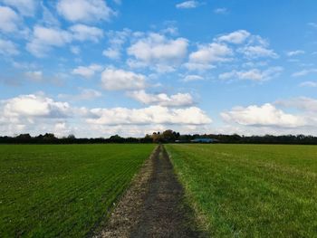 Scenic view of agricultural field against sky