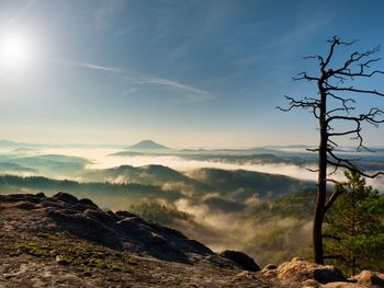 Colorful fall daybreak. misty awakening in a beautiful hills. peaks of hills are sticking out.