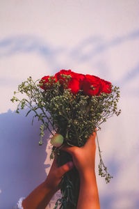 Midsection of person holding red flowering plant against sky