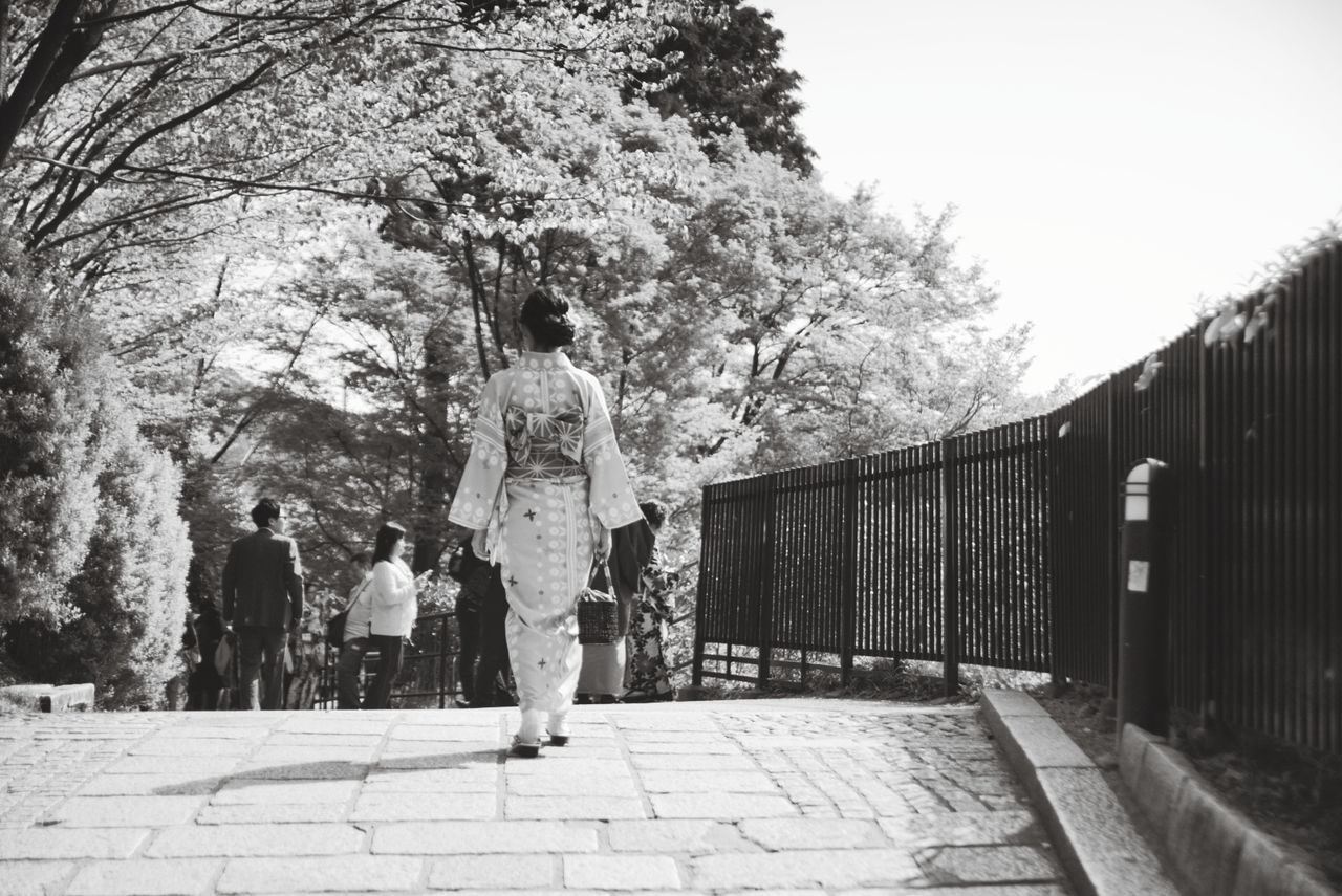 tree, full length, real people, plant, nature, day, walking, lifestyles, architecture, people, men, rear view, footpath, casual clothing, the way forward, built structure, women, direction, adult, incidental people, outdoors