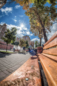 Trees by footpath in park against sky in city