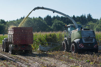 Agricultural machinery spraying grains at farm
