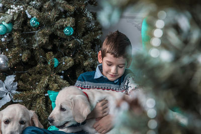 Cute boy sitting with dogs against christmas tree at home
