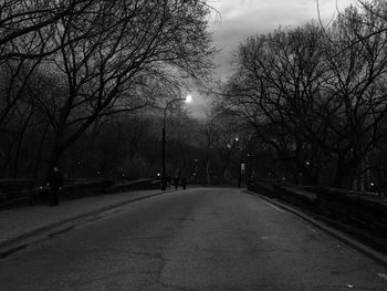 Road along bare trees