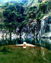 Scenic view of lake by rock formation in forest