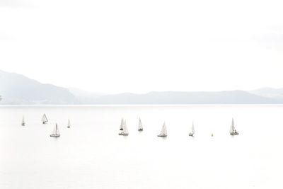 Sailboats in sea against clear sky