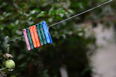 Close-up of multi colored clothespins hanging on rope