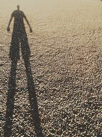 Shadow of people on wall