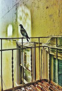 Close-up of metal structure