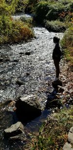 River flowing through rocks in forest