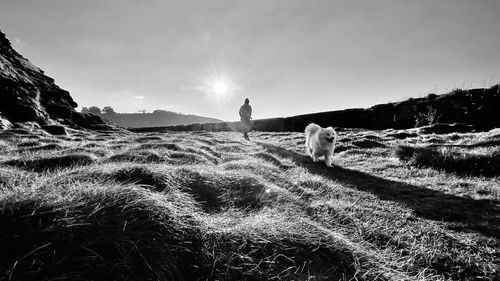 Man with dog on field against sky