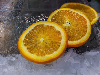 High angle view of lemon