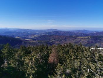 High angle view of trees on landscape against sky