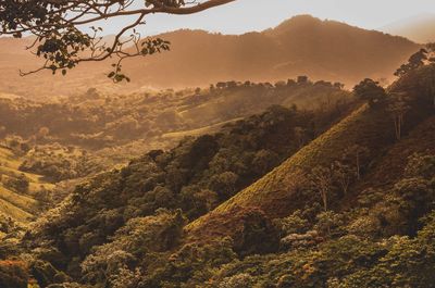 Scenic view of tree mountains against sky