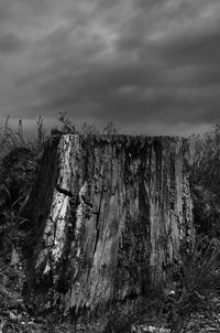 Panoramic shot of trees on land against sky