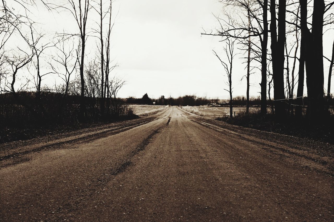 the way forward, diminishing perspective, transportation, bare tree, vanishing point, tree, road, country road, tranquility, tranquil scene, long, empty road, sky, empty, clear sky, landscape, nature, road marking, non-urban scene, no people