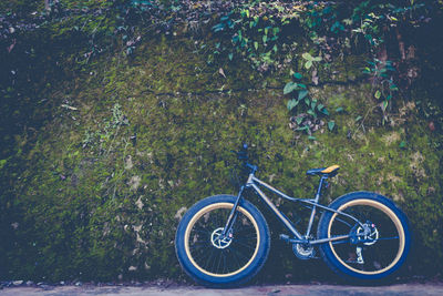 Bicycle leaning on wall covered with moss