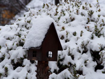 Close-up of snow covered house