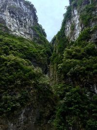 Low angle view of waterfall on mountain