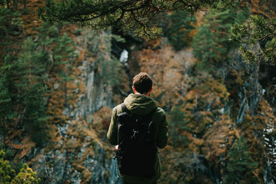 Rear view of man photographing in forest