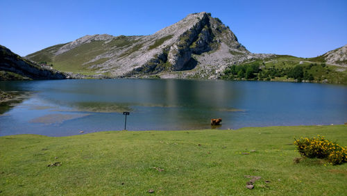 Scenic view of lake and mountains against clear blue sky