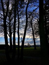 Silhouette trees on field against sky