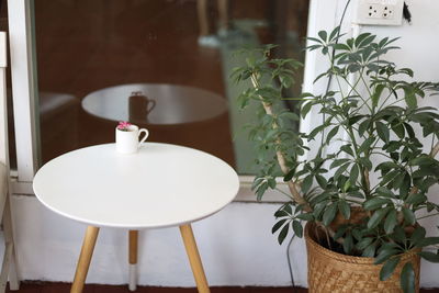 Close-up of potted plant on table at home