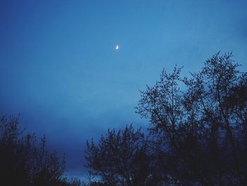 Low angle view of silhouette trees against sky at night