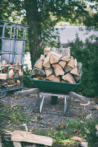 Stack of logs in field