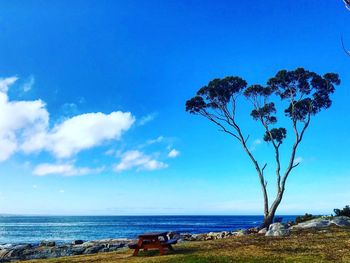 Scenic view of sea against blue sky