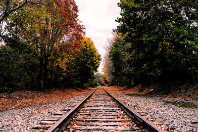 Railroad track amidst trees against sky