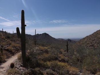 Scenic view of desert against sky