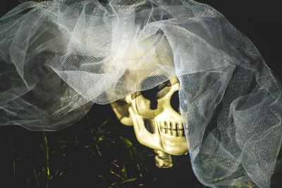 Close-up of human skull and veil on field at night