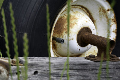 Close-up of snake on metal