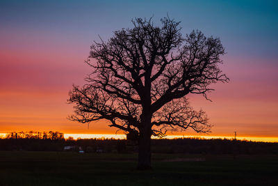 Silhouette tree on field against romantic sky at sunset