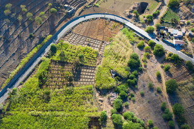 High angle view of trees on field