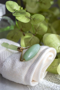 Close-up of fruit on plant