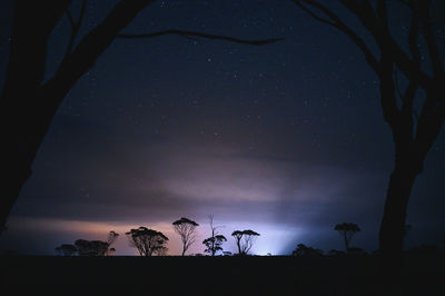 Low angle view of silhouette trees against sky at night