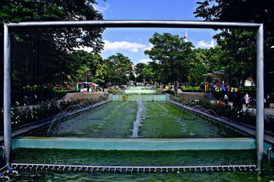 Group of people in swimming pool at park