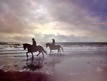 Silhouette people riding on horseback on beach