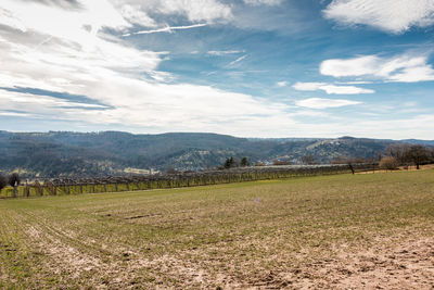 Scenic view of field against sky