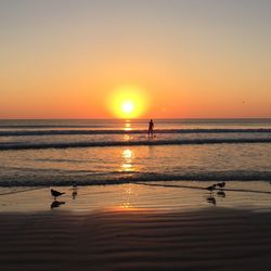 Scenic view of sea at sunset