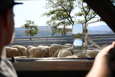 Rear view of man seen through car window