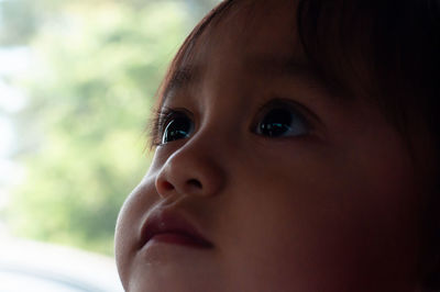 Portrait of an asian toddler baby, outdoor.