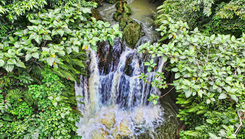 Scenic view of waterfall